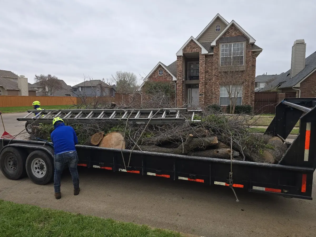 Expert Tree Fertilization with proper safety equipment in Heuvelton